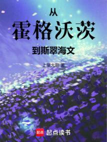 从霍格沃茨到斯翠海文封面图片